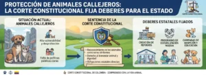protección animal