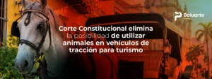 Banner Caballo